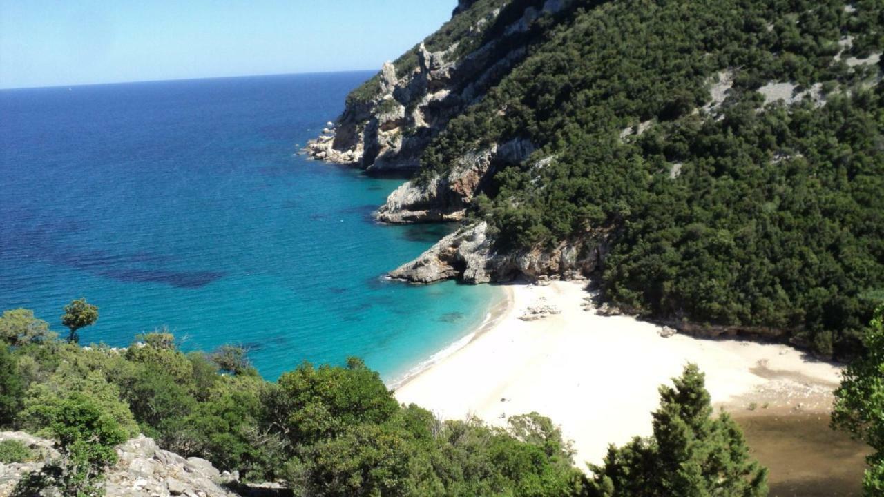 White Rose Suite Apartment Cala Gonone Eksteriør billede